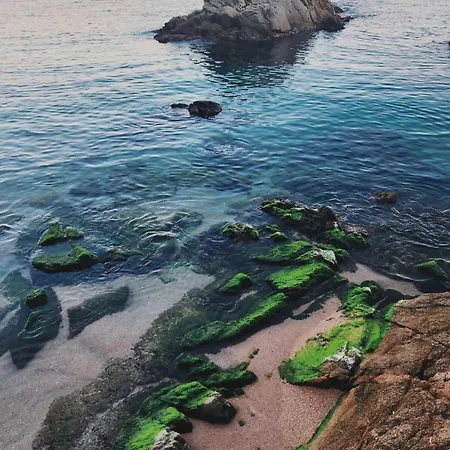 Apartamento 5 Min A Pie De Playa De Lloret De Mar *